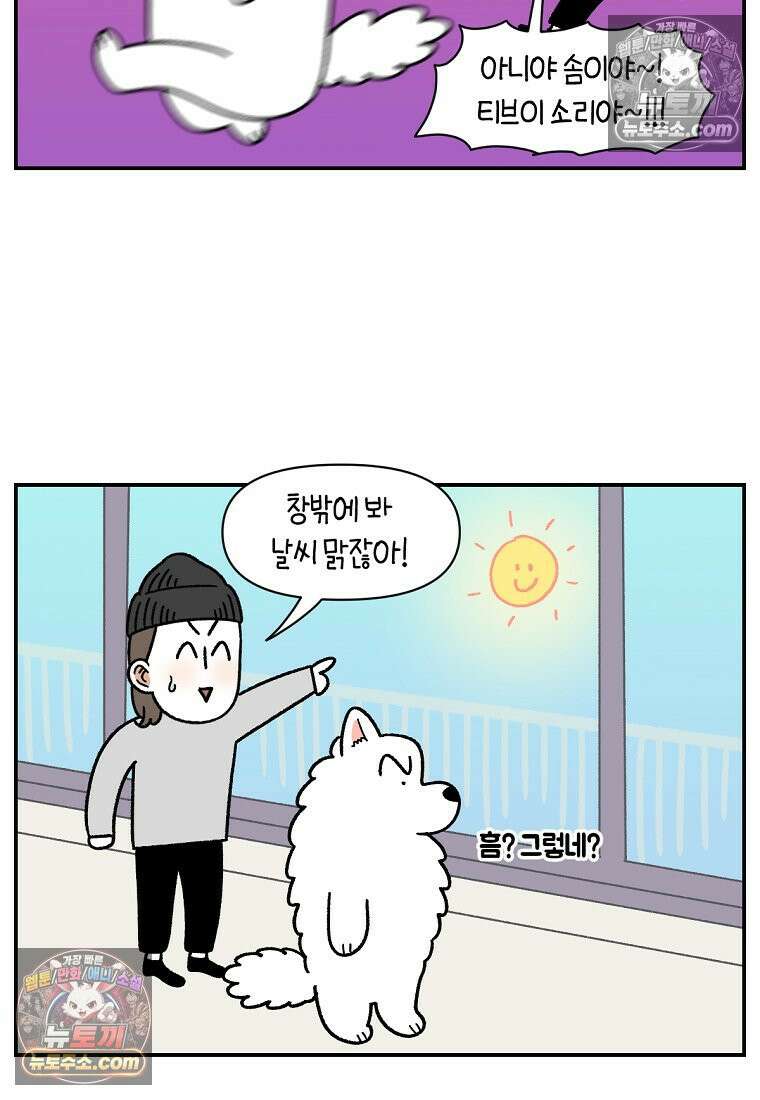 극한견주 시즌2 73화 비 오는 날의 배변 산책 24