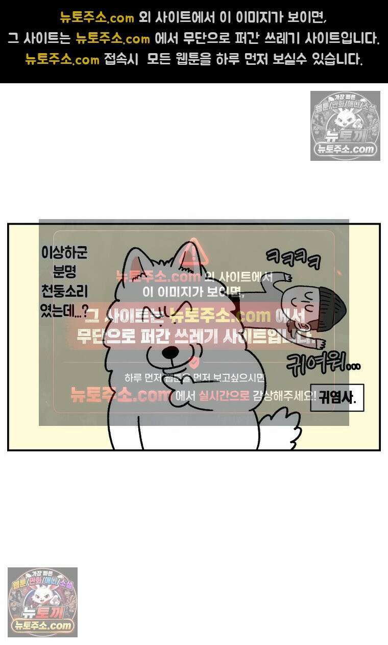극한견주 시즌2 73화 비 오는 날의 배변 산책 25