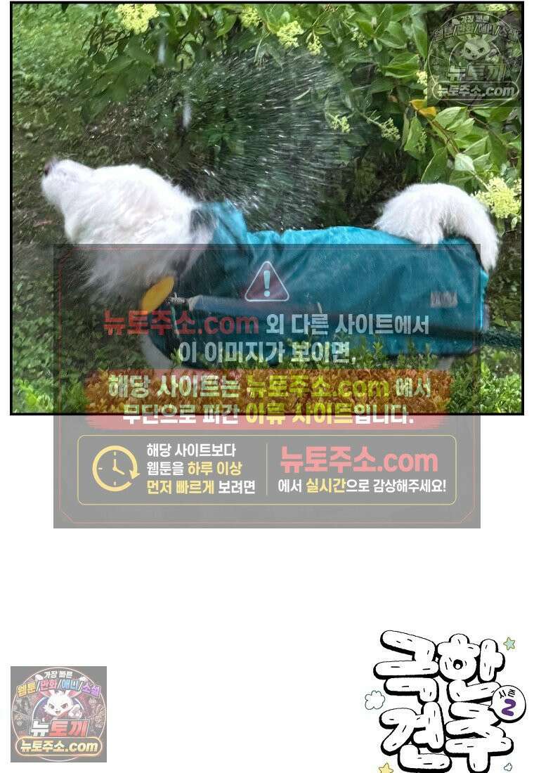 극한견주 시즌2 73화 비 오는 날의 배변 산책 27