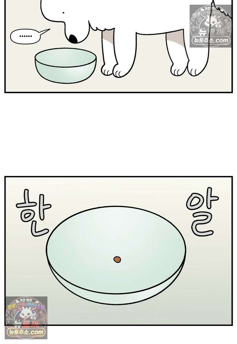 극한견주 시즌2 78화 밥 가지고 장난치기 3