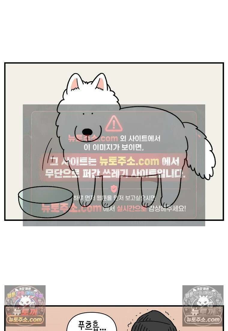 극한견주 시즌2 78화 밥 가지고 장난치기 4