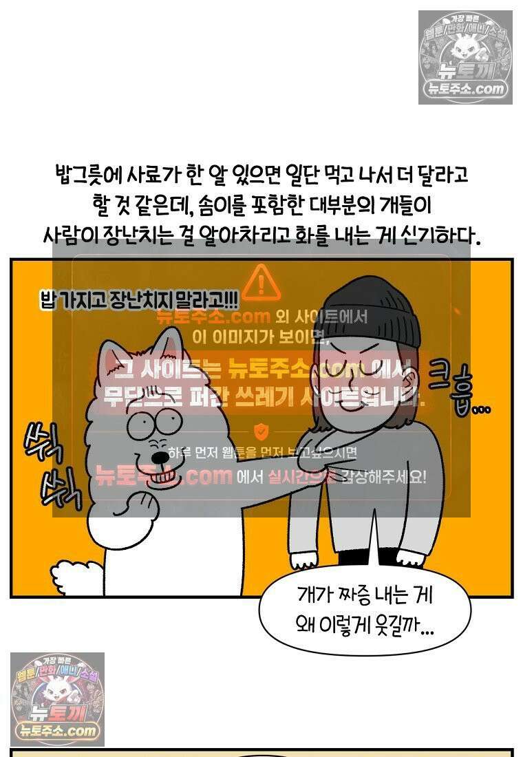 극한견주 시즌2 78화 밥 가지고 장난치기 7