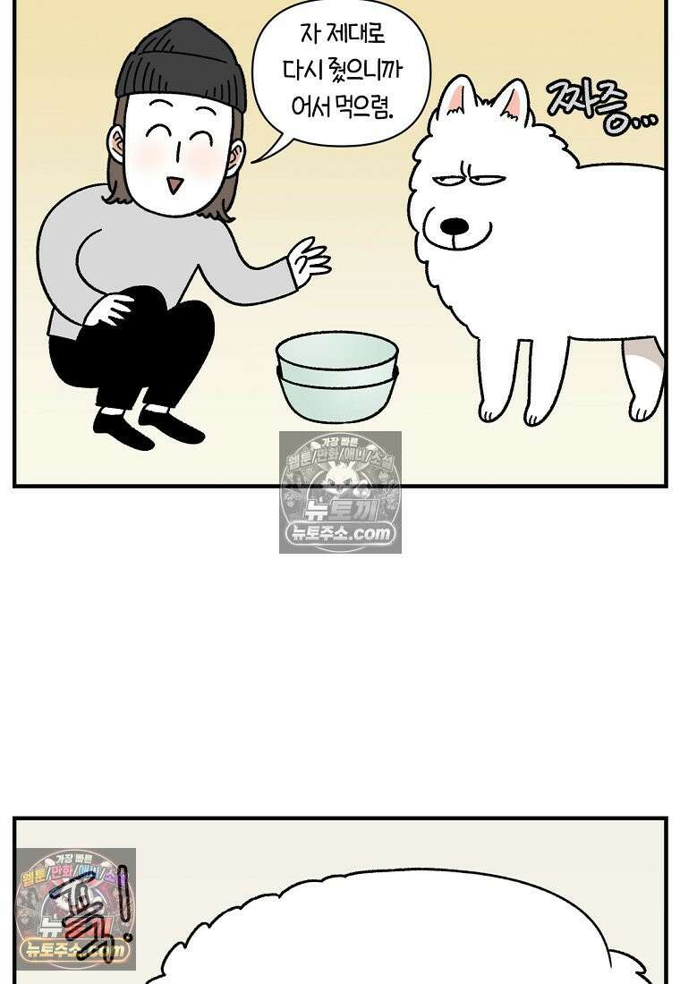 극한견주 시즌2 78화 밥 가지고 장난치기 8