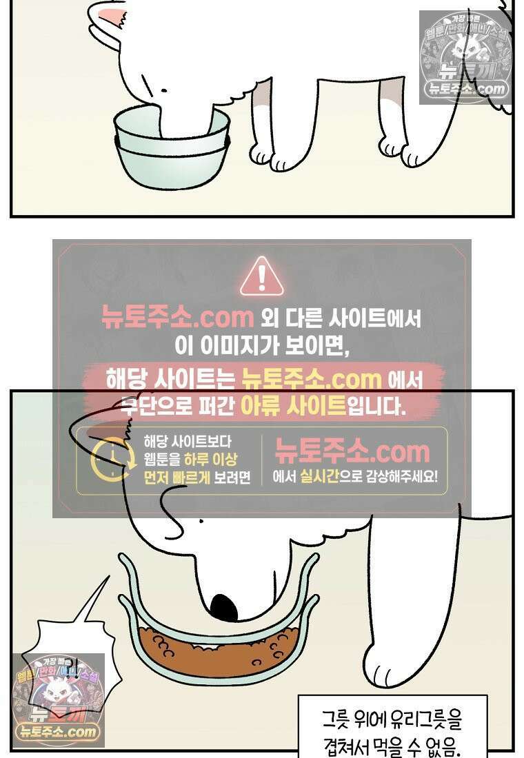 극한견주 시즌2 78화 밥 가지고 장난치기 9