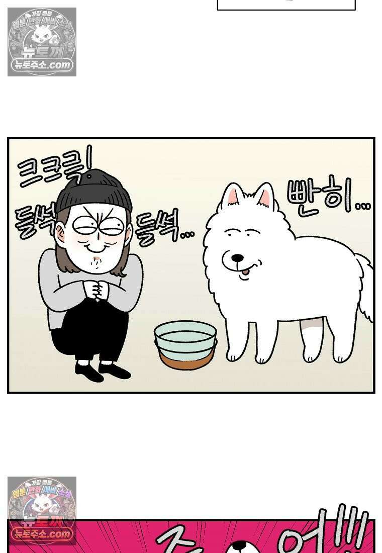 극한견주 시즌2 78화 밥 가지고 장난치기 10