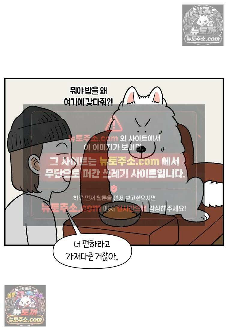 극한견주 시즌2 78화 밥 가지고 장난치기 14