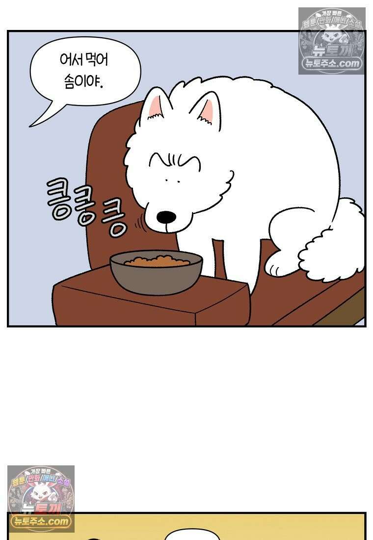 극한견주 시즌2 78화 밥 가지고 장난치기 15