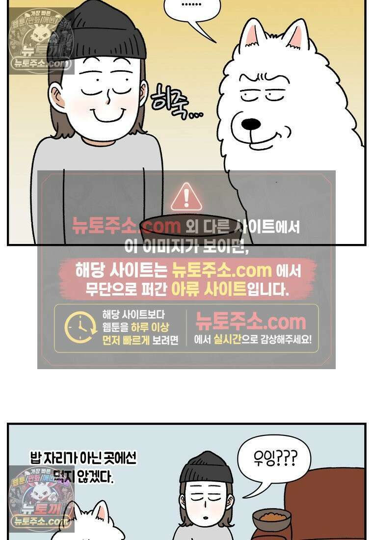 극한견주 시즌2 78화 밥 가지고 장난치기 16
