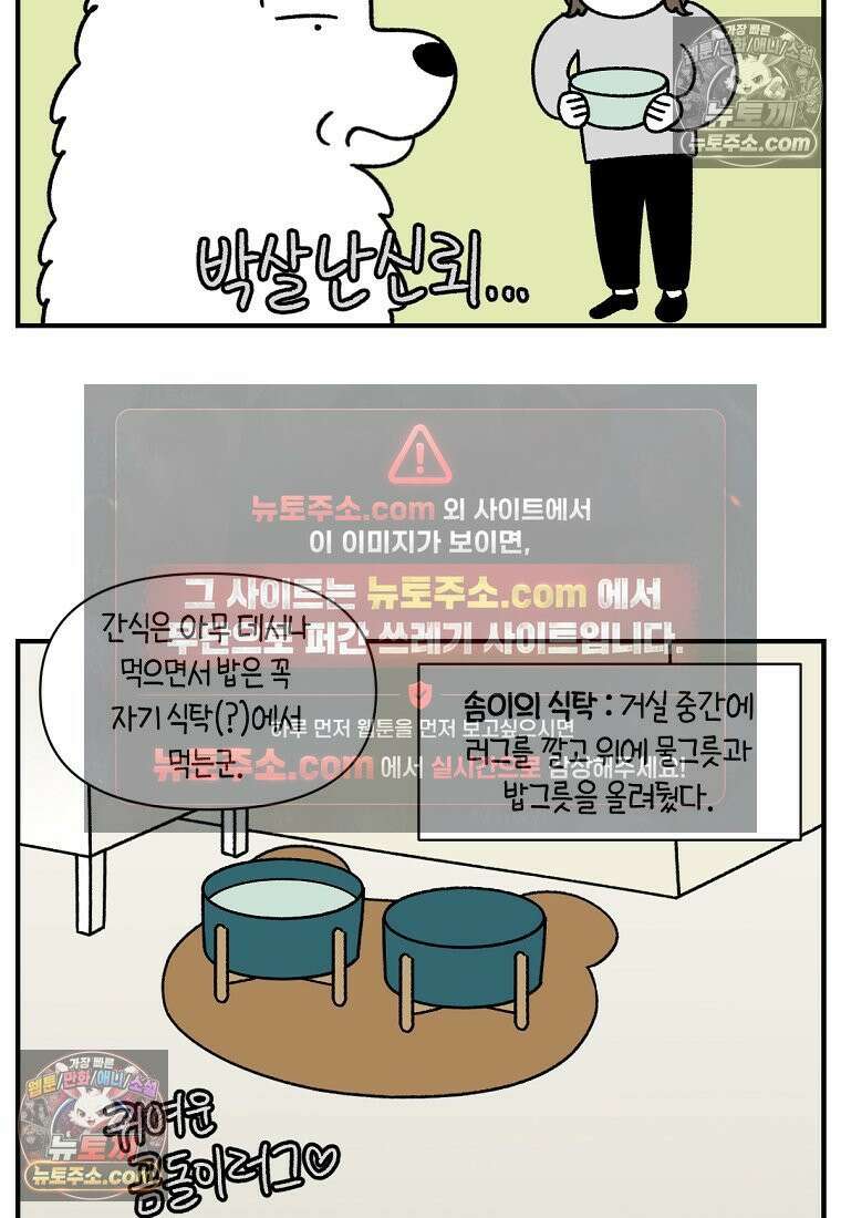 극한견주 시즌2 78화 밥 가지고 장난치기 18