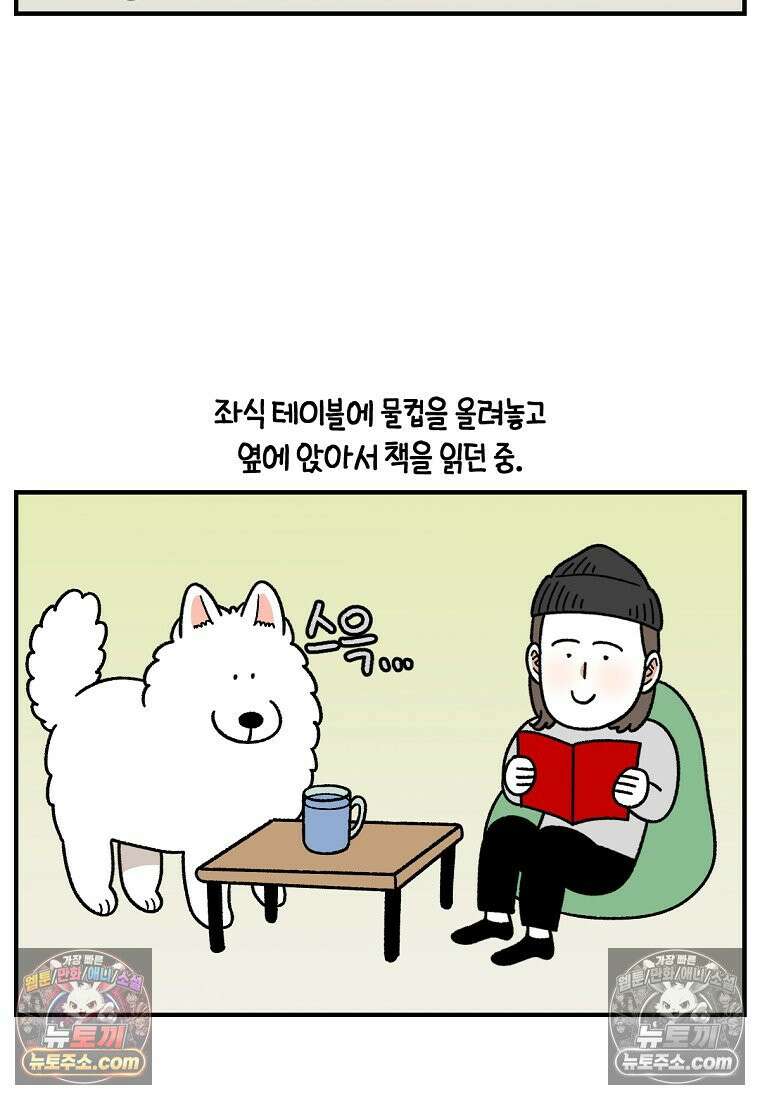 극한견주 시즌2 78화 밥 가지고 장난치기 19
