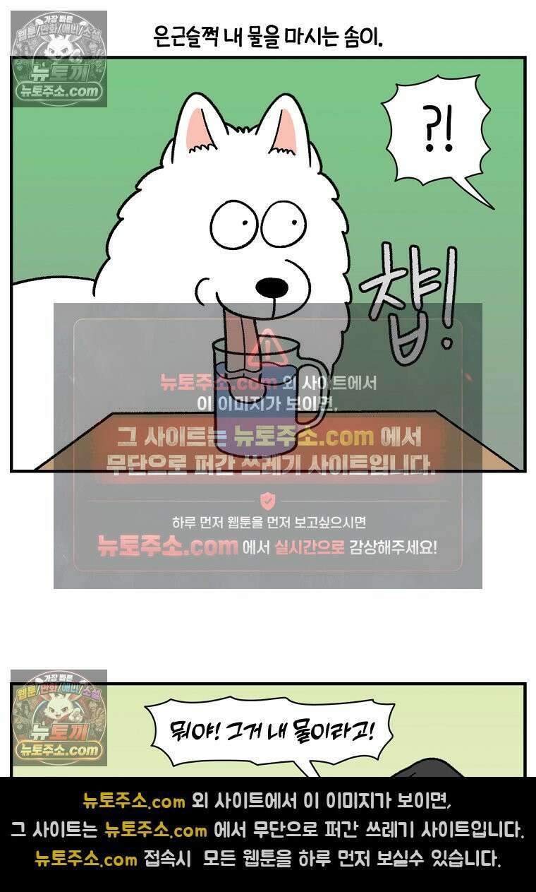 극한견주 시즌2 78화 밥 가지고 장난치기 21
