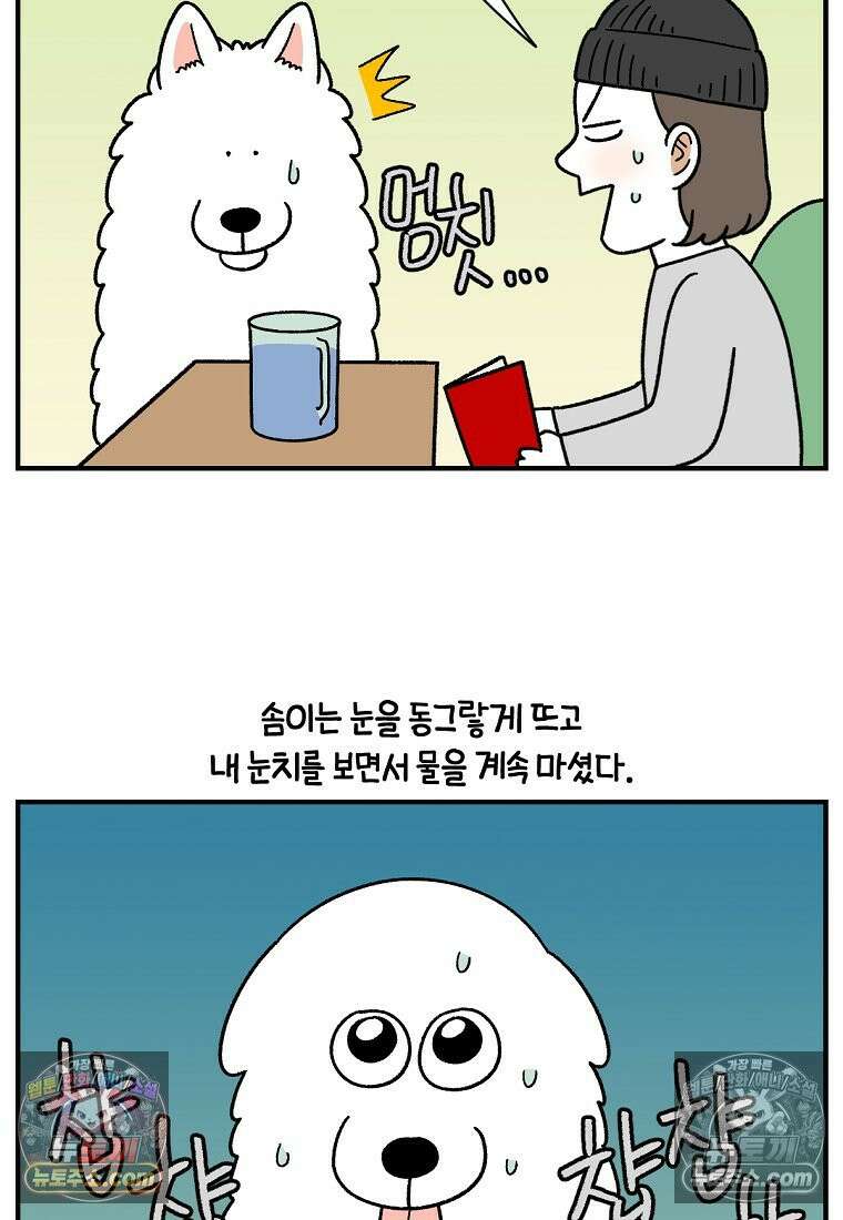 극한견주 시즌2 78화 밥 가지고 장난치기 22