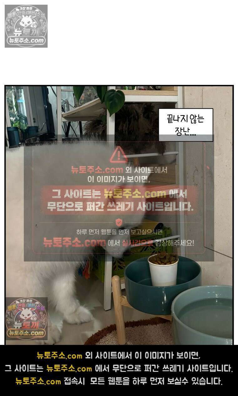극한견주 시즌2 78화 밥 가지고 장난치기 25