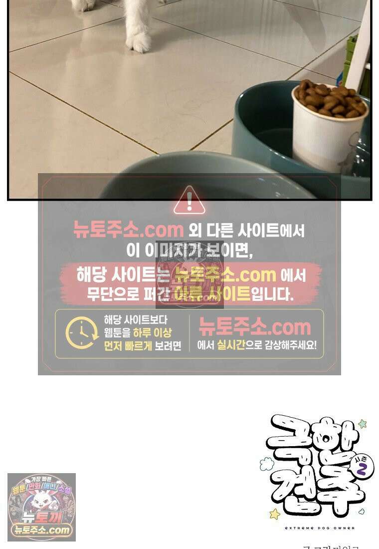 극한견주 시즌2 78화 밥 가지고 장난치기 27