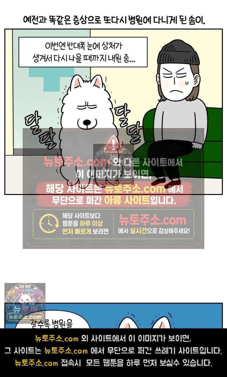 극한견주 시즌2 81화 의사 선생님의 짝사랑 2