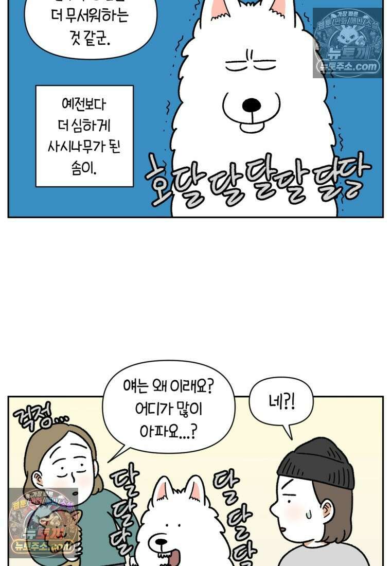 극한견주 시즌2 81화 의사 선생님의 짝사랑 3