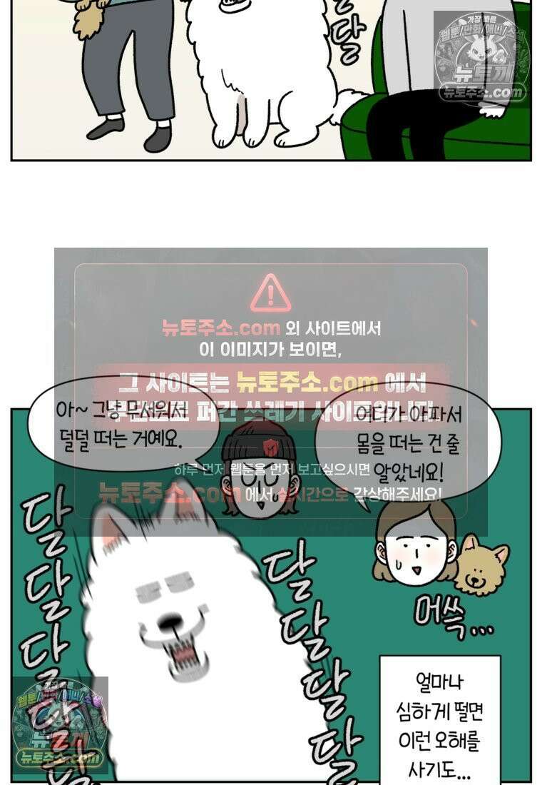 극한견주 시즌2 81화 의사 선생님의 짝사랑 4