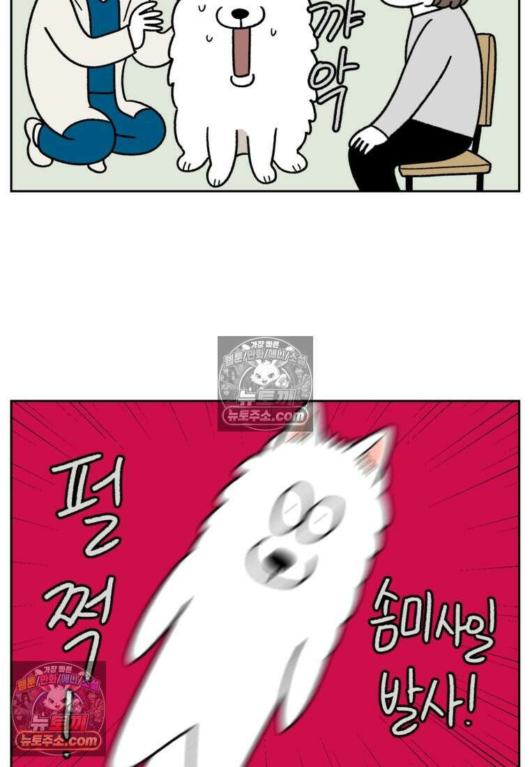 극한견주 시즌2 81화 의사 선생님의 짝사랑 8