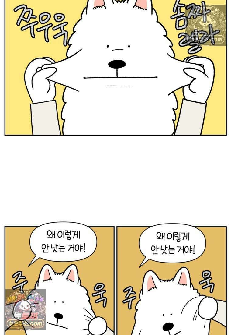 극한견주 시즌2 81화 의사 선생님의 짝사랑 15
