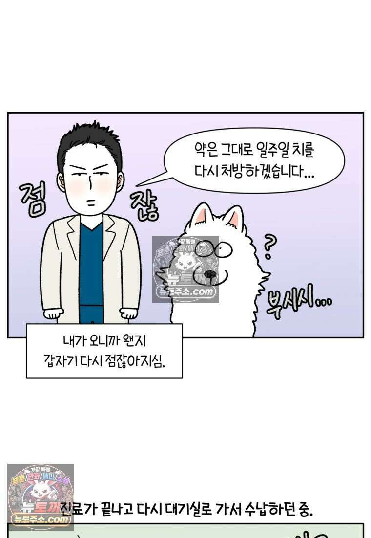 극한견주 시즌2 81화 의사 선생님의 짝사랑 18