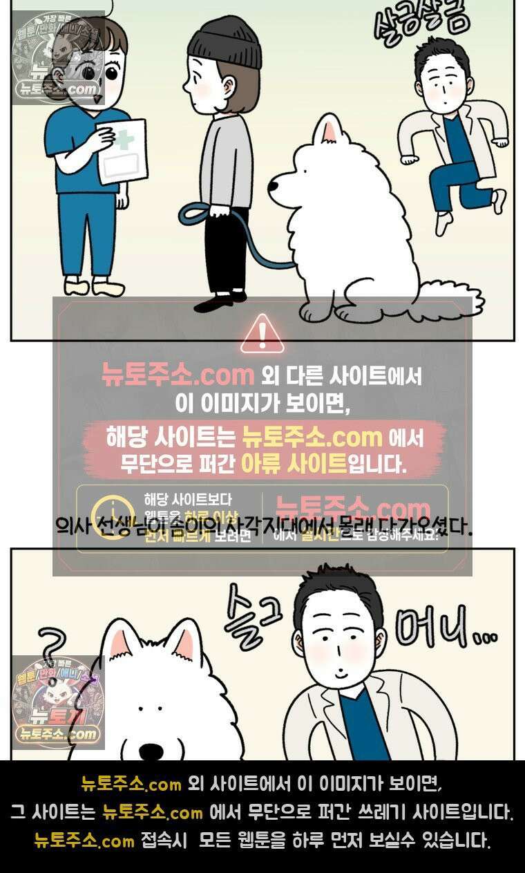 극한견주 시즌2 81화 의사 선생님의 짝사랑 19
