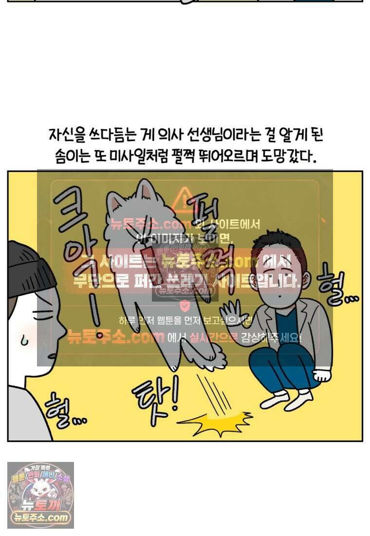 극한견주 시즌2 81화 의사 선생님의 짝사랑 21