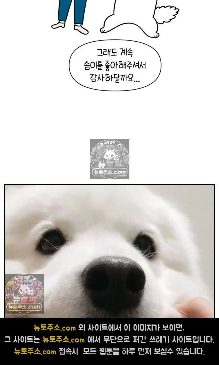 극한견주 시즌2 81화 의사 선생님의 짝사랑 25