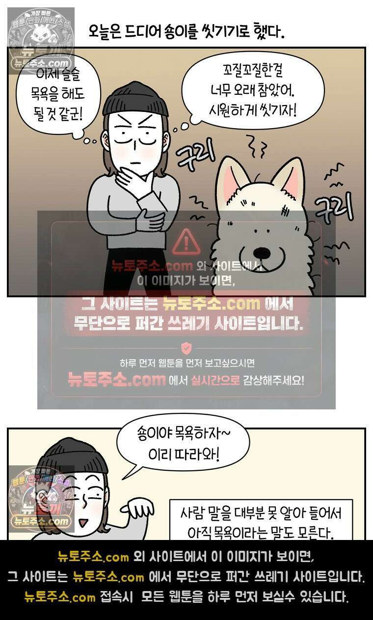 극한견주 시즌2 106화 첫 목욕 2