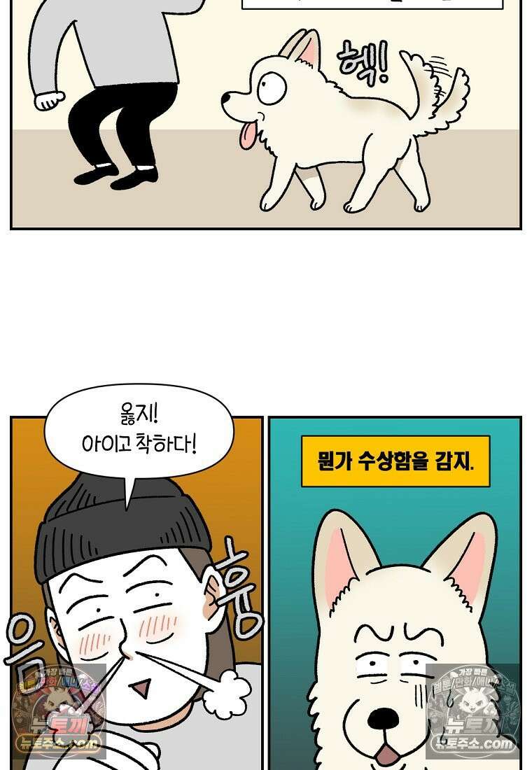 극한견주 시즌2 106화 첫 목욕 3