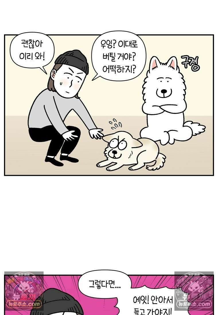 극한견주 시즌2 106화 첫 목욕 5