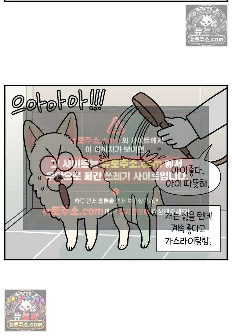 극한견주 시즌2 106화 첫 목욕 10