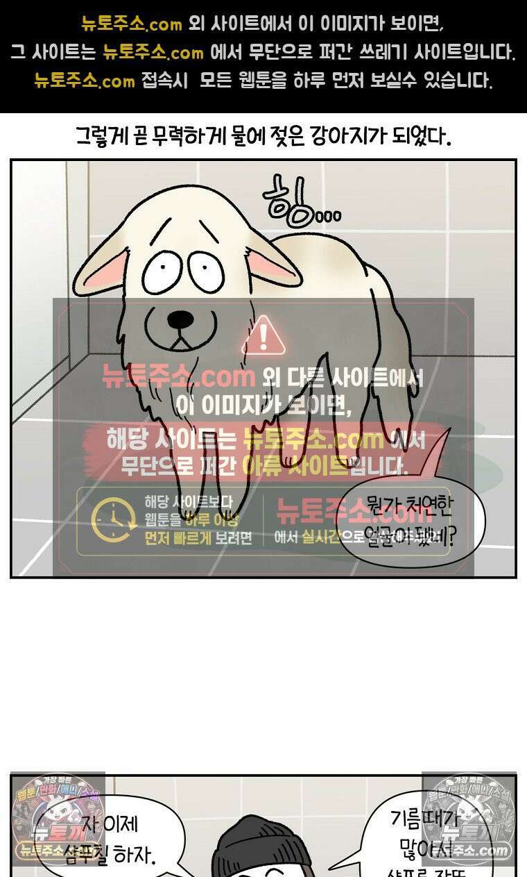 극한견주 시즌2 106화 첫 목욕 11