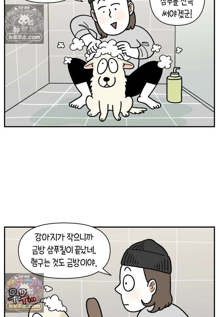 극한견주 시즌2 106화 첫 목욕 12