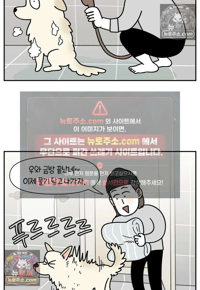 극한견주 시즌2 106화 첫 목욕 13