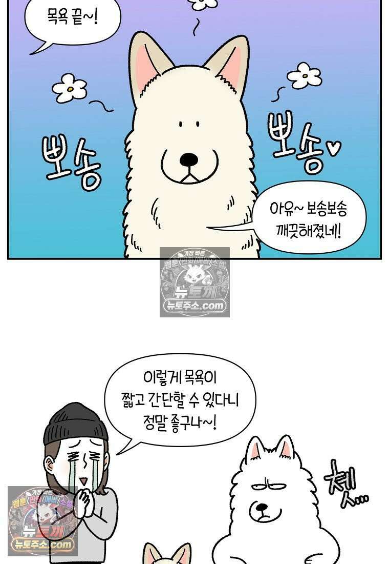 극한견주 시즌2 106화 첫 목욕 16
