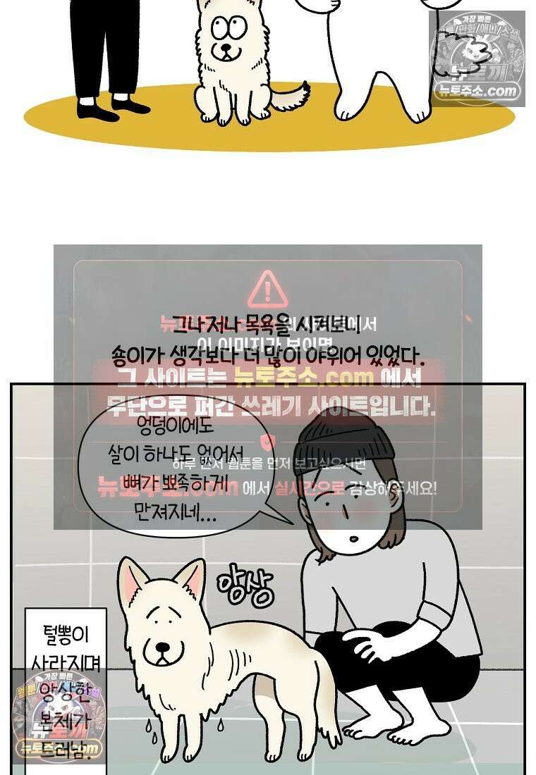 극한견주 시즌2 106화 첫 목욕 17