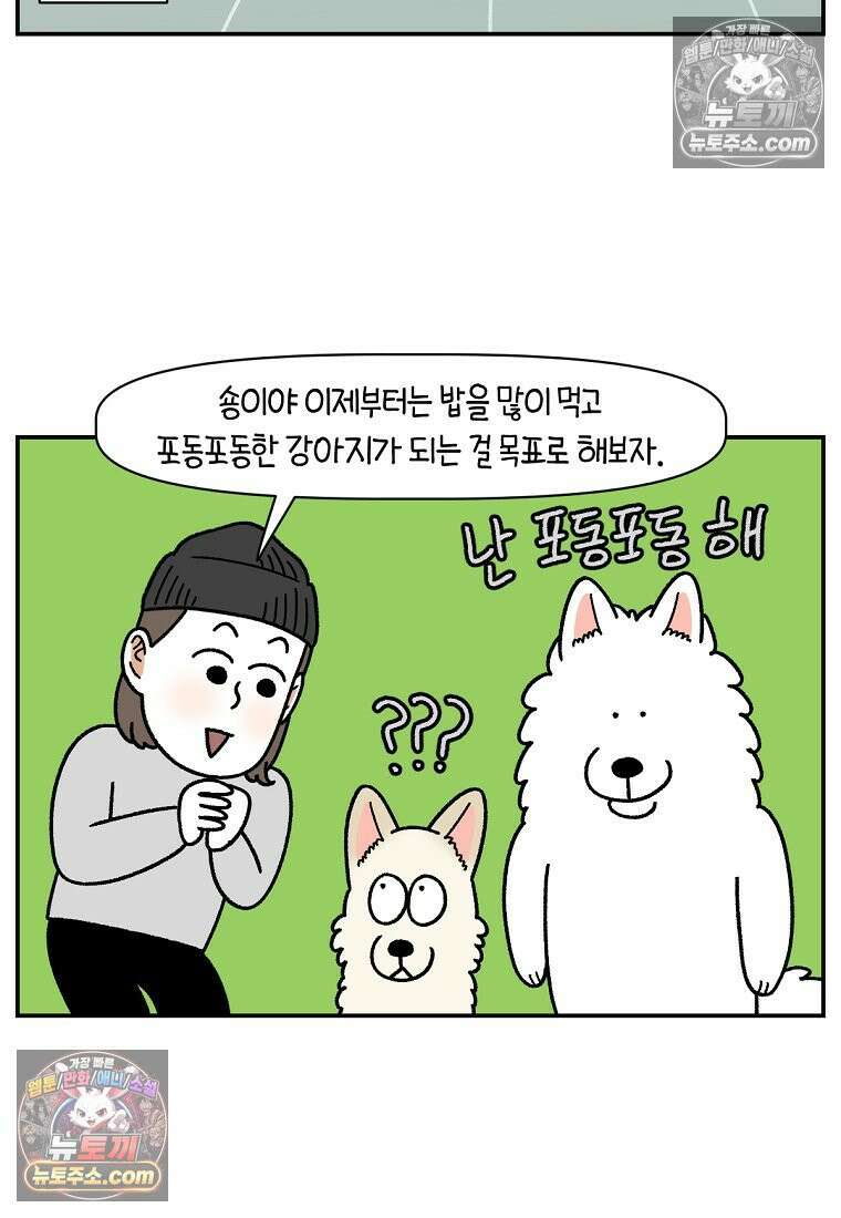 극한견주 시즌2 106화 첫 목욕 18