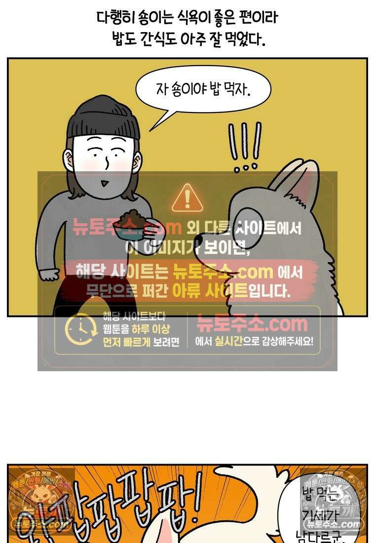 극한견주 시즌2 106화 첫 목욕 19