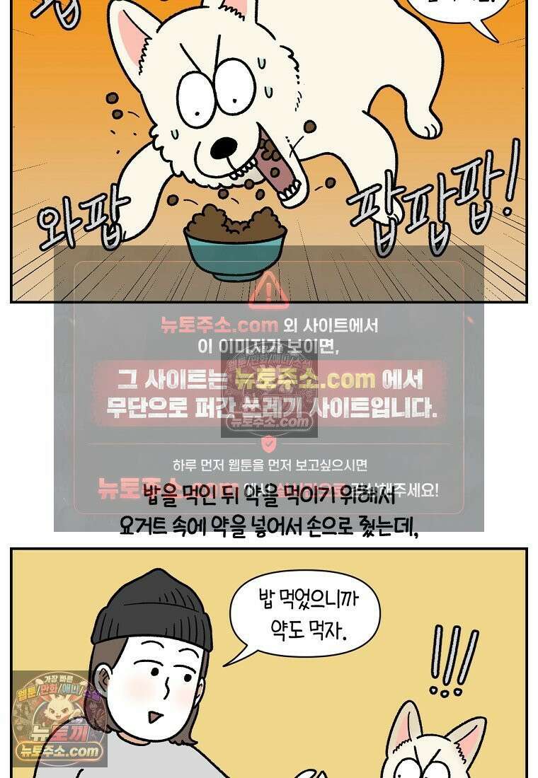 극한견주 시즌2 106화 첫 목욕 20