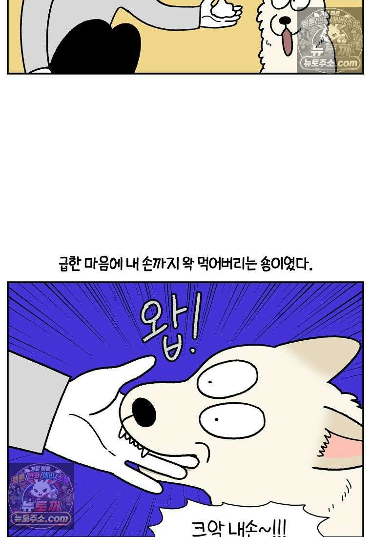 극한견주 시즌2 106화 첫 목욕 21