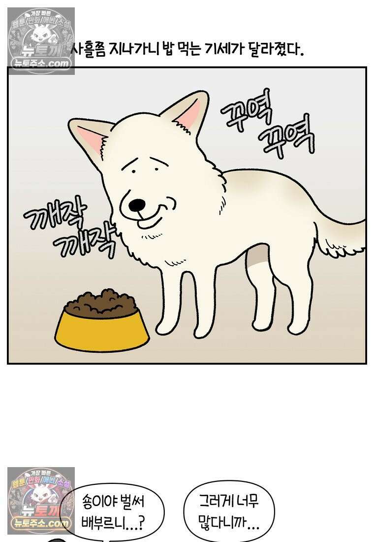 극한견주 시즌2 106화 첫 목욕 25