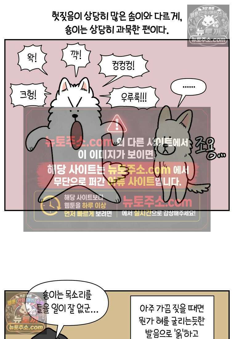 극한견주 시즌2 116화 숑이 목소리 2