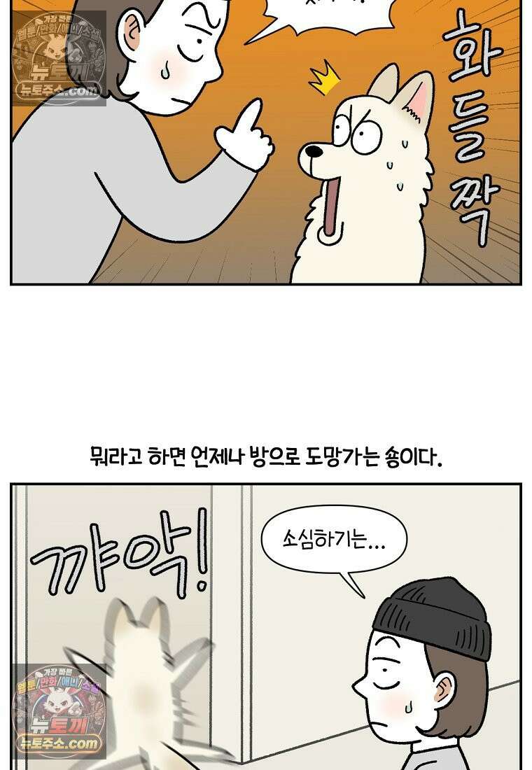 극한견주 시즌2 116화 숑이 목소리 6