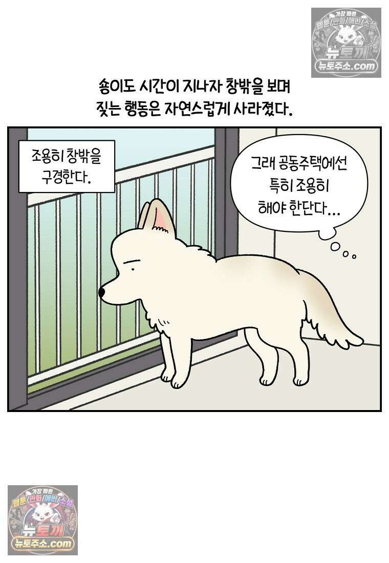 극한견주 시즌2 116화 숑이 목소리 8
