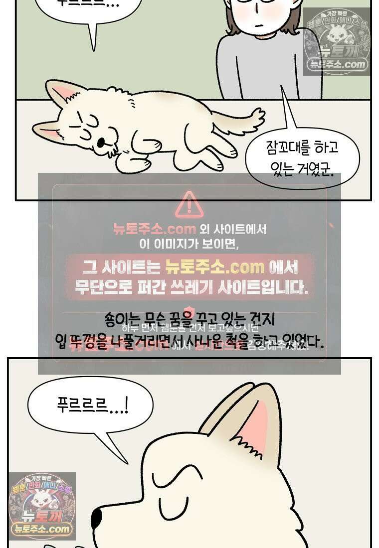극한견주 시즌2 116화 숑이 목소리 10