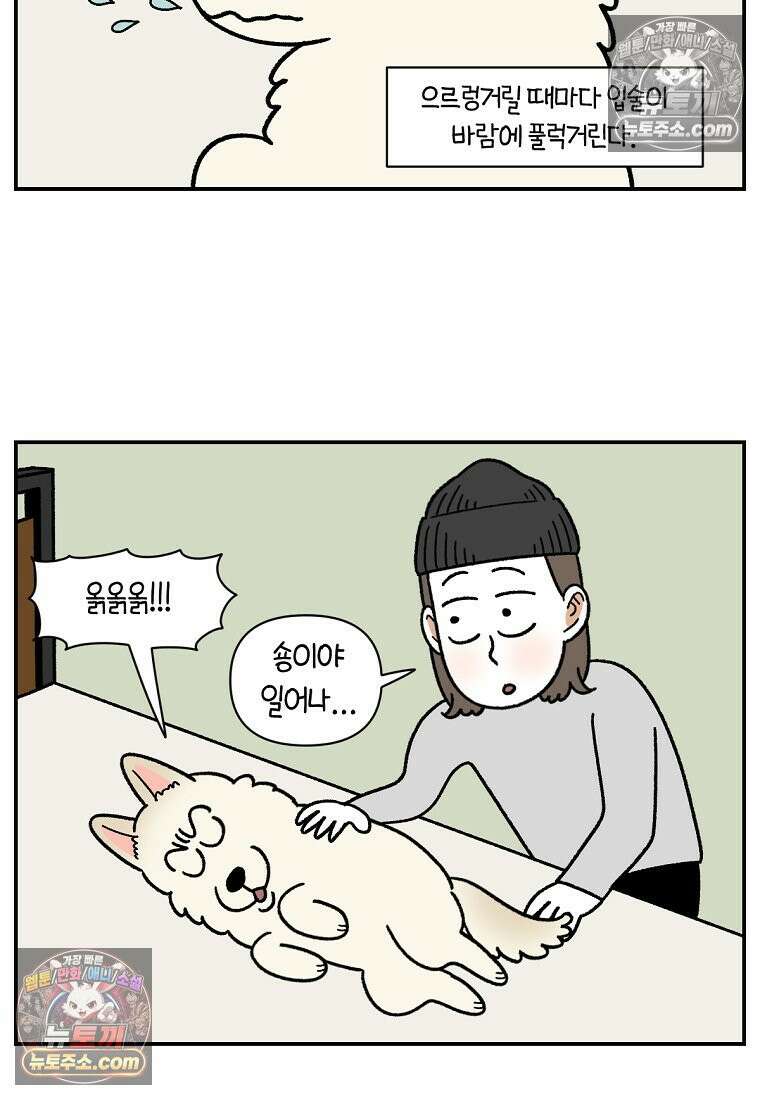 극한견주 시즌2 116화 숑이 목소리 11