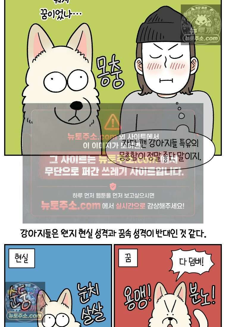 극한견주 시즌2 116화 숑이 목소리 13