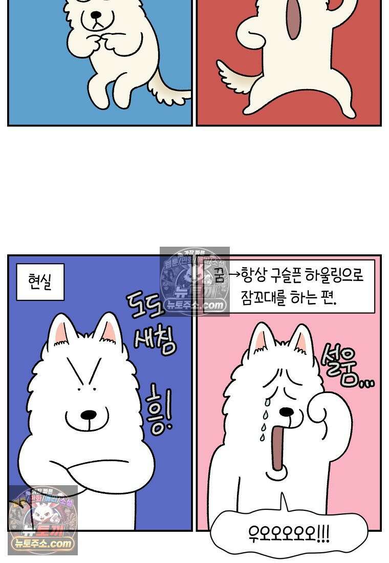 극한견주 시즌2 116화 숑이 목소리 14