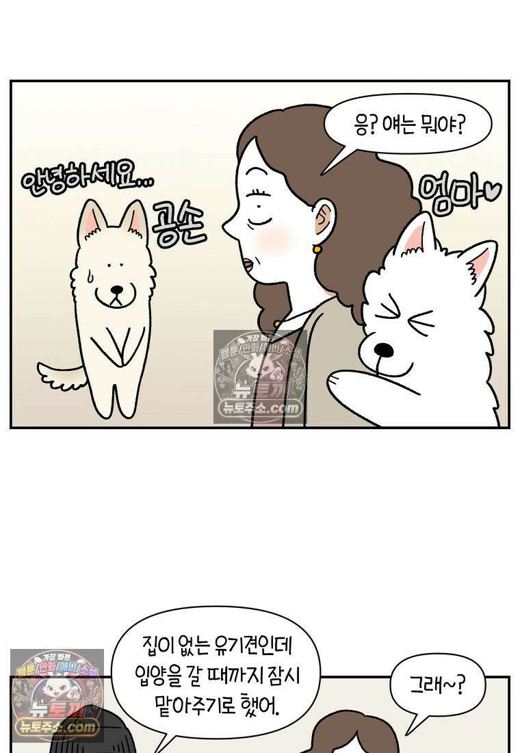 극한견주 시즌2 116화 숑이 목소리 16