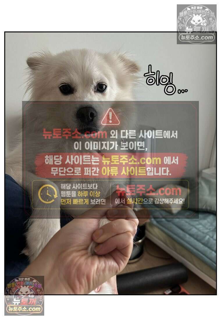 극한견주 시즌2 116화 숑이 목소리 25
